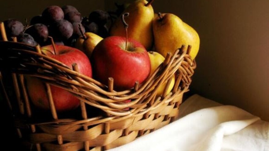 Specijalistička radionica odjela za zaštitu bilja