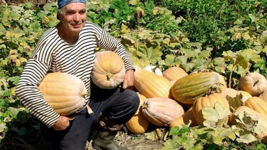 Javni poziv dobavljačima voća i povrća
