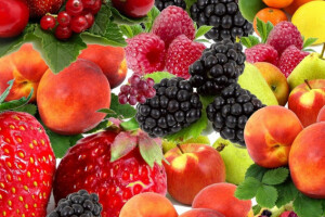 Međunarodni sajam voćarstva Profifruit