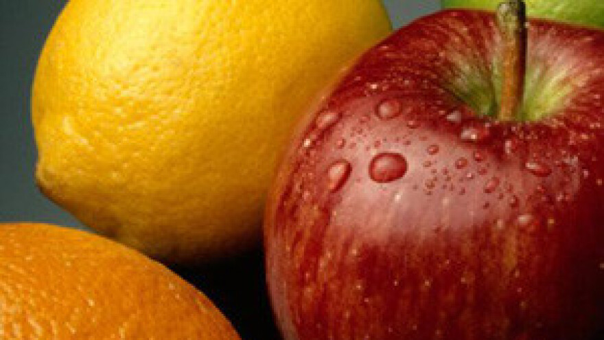 Stručni skup voćara u Zadru