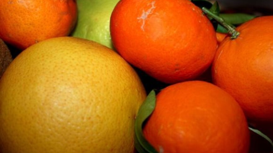 Prva obavijest hrvatskim voćarima