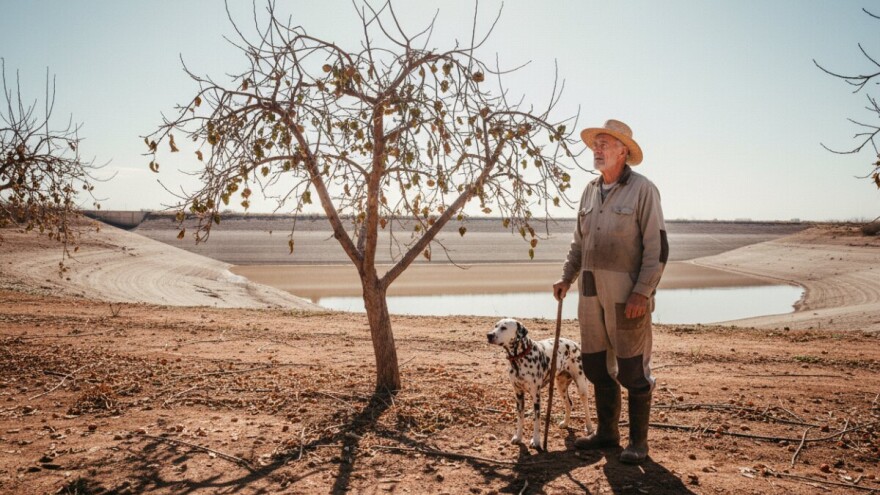 Voćke bez uroda, krumpir ne niče, a masline još ne cvjetaju
