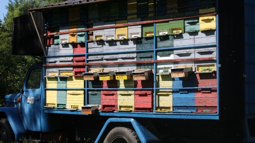 Pčelari, prijavite se za demonstracijsku aktivnost