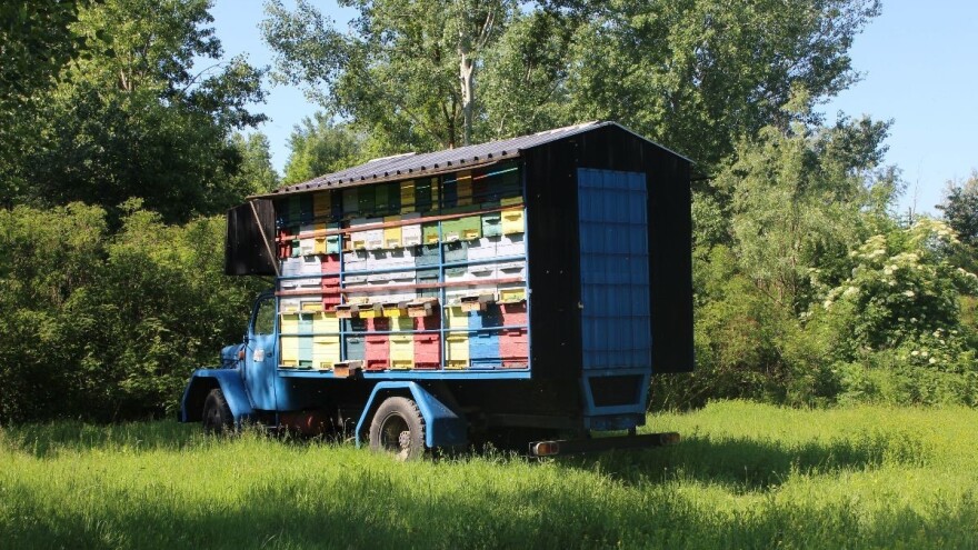 Za pokriće gubitaka zbog klimatski lošeg proljeća pčelarima osigurano tri milijuna kuna