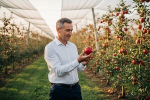 Voćnjaci postali najpoželjnija zanimacija tajkuna i biznismena