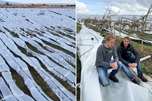 Oluja im uništila skoro 5.000 stabala kajsija, a još otplaćuju kredit