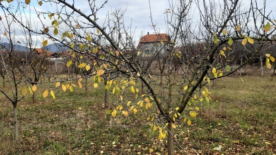 Stigla nam je jesen, a sa njom i snijeg na planinama