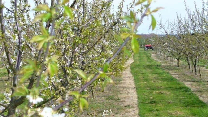 Za obavljanje agrotehničkih mera potrebno odobrenje Uprave za zaštitu bilja