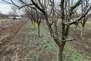 Januar nas napušta sa 15°C
