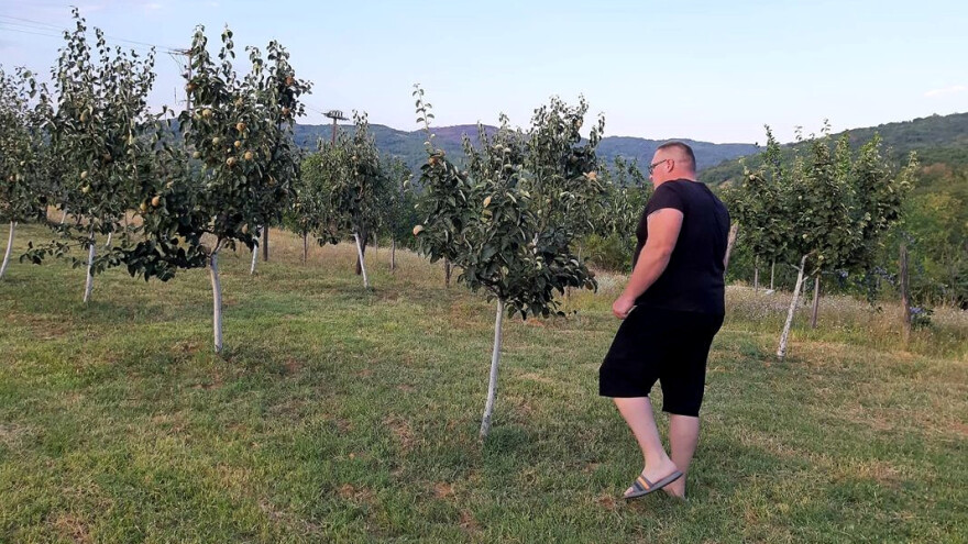 Raspisan konkurs za podizanje zasada voća i hmelja