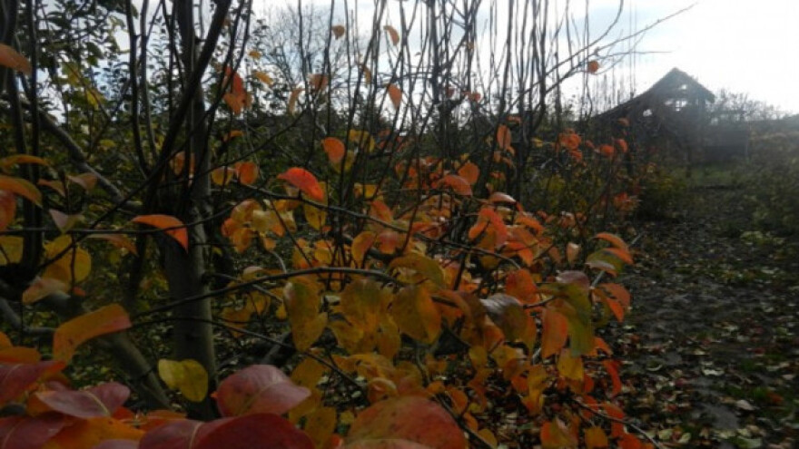 Pravo vreme za sadnju i za zaštitu voćnjaka