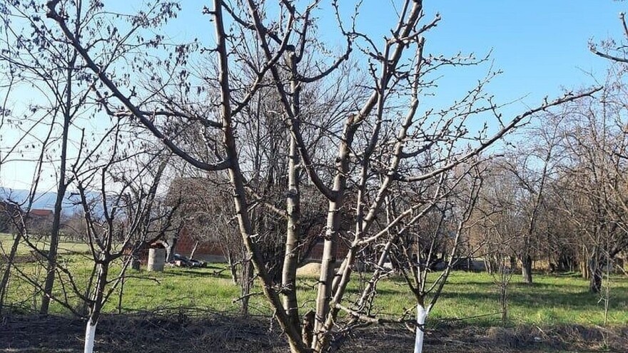 Raspisan konkurs za dodjelu koncesije na poljoprivredno zemljište