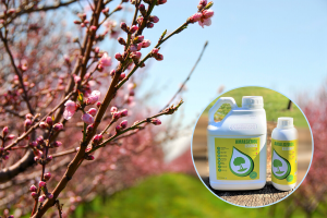 Chromos Agro: Biostimulator Amalgerol Essence štiti biljke od mraza i drugih stresova