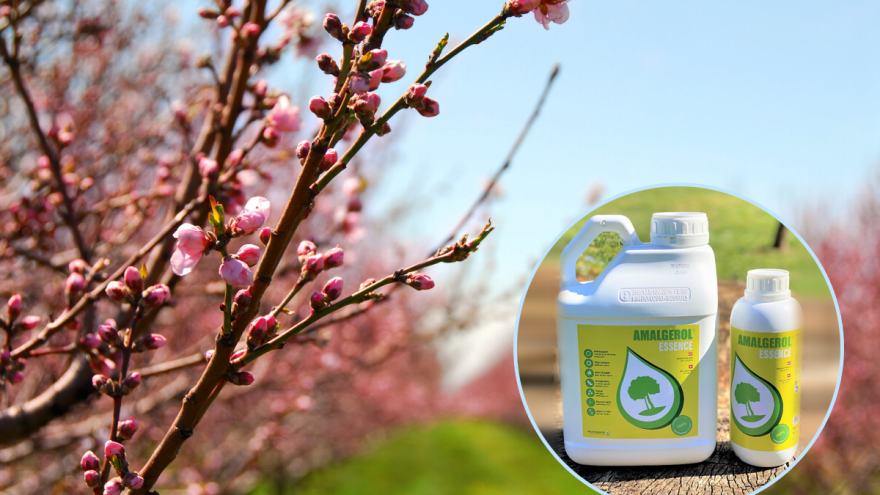 Chromos Agro: Biostimulator Amalgerol Essence štiti biljke od mraza i drugih stresova