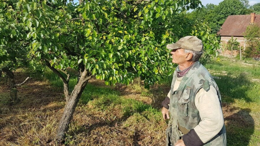 Za vreme vanrednog stanja, Milan Jovičić sadio voće