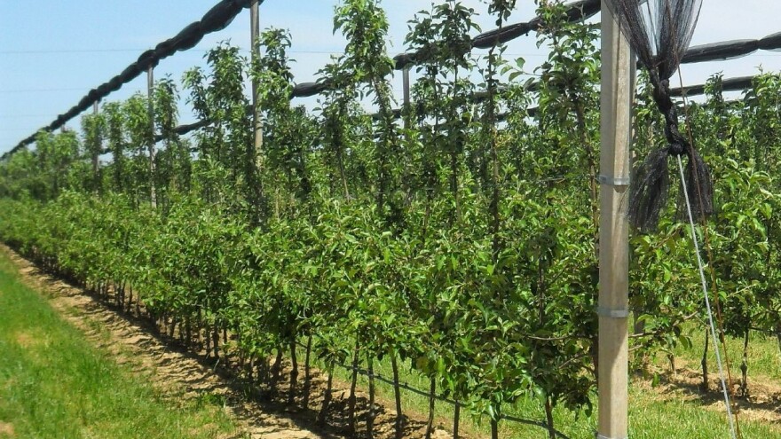 Brendiranje slavonsko-baranjskih proizvoda jedna od zadaća budućeg distribucijskog centra