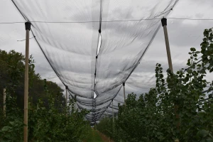 Promenljivo oblačno vreme: Nastaviti zaštitu od patogena