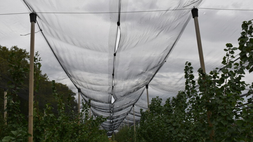 Promenljivo oblačno vreme: Nastaviti zaštitu od patogena