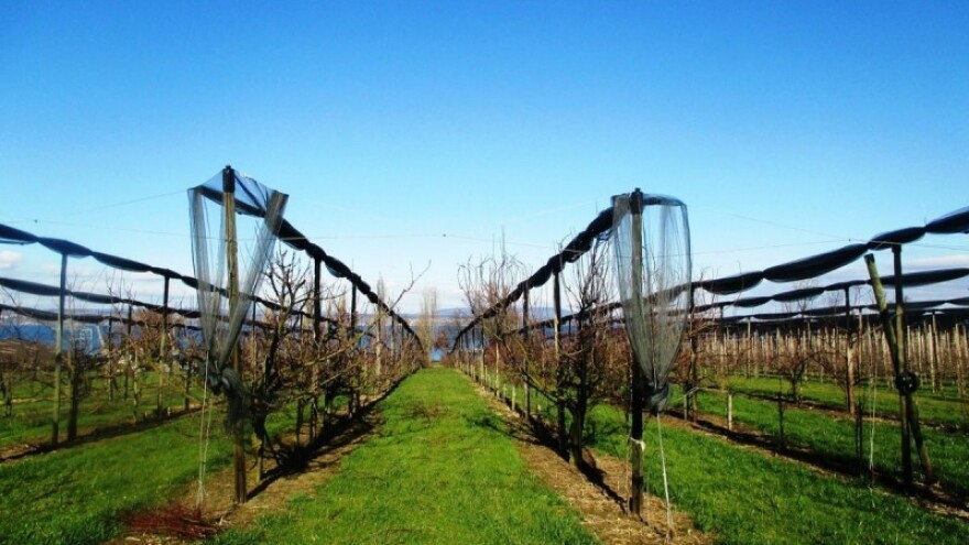 1,7 milijuna kuna iz IPARD-a za voćnjak