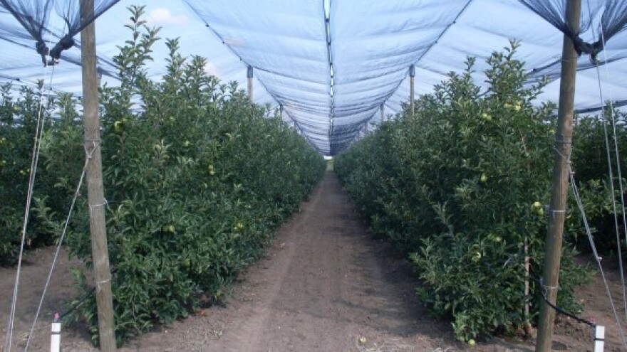 Savetovanje o unapređenju proizvodnje voća