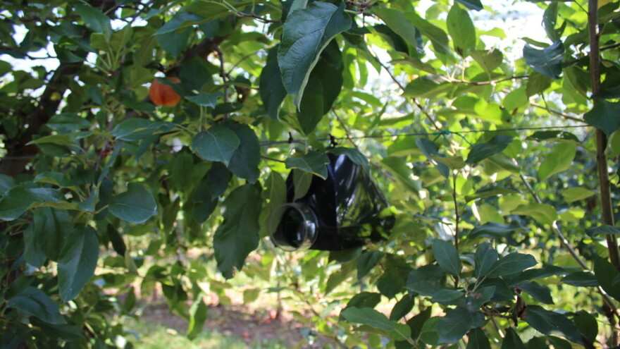 Bez obrazaca, nema novaca: Za IAKS mjere dužni ste dostaviti evidenciju o provedbi