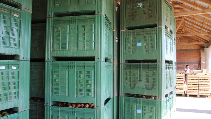 Prosječne proizvođačke cijene poljoprivrednih proizvoda u četiri godine rasle za 38 posto