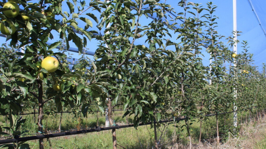 Zašto ozbiljan poljoprivrednik ne smije zanemariti navodnjavanje?