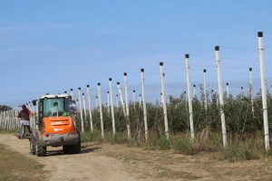 Započelo je podnošenje zahtjeva za potporu u sektorima voćarstva i ratarstva