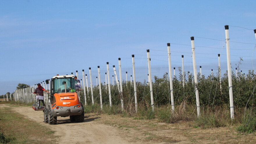 Započelo je podnošenje zahtjeva za potporu u sektorima voćarstva i ratarstva