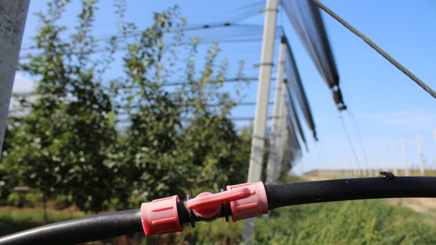 Što bi pola milijuna navodnjavanih hektara značilo za hrvatsku poljoprivredu?