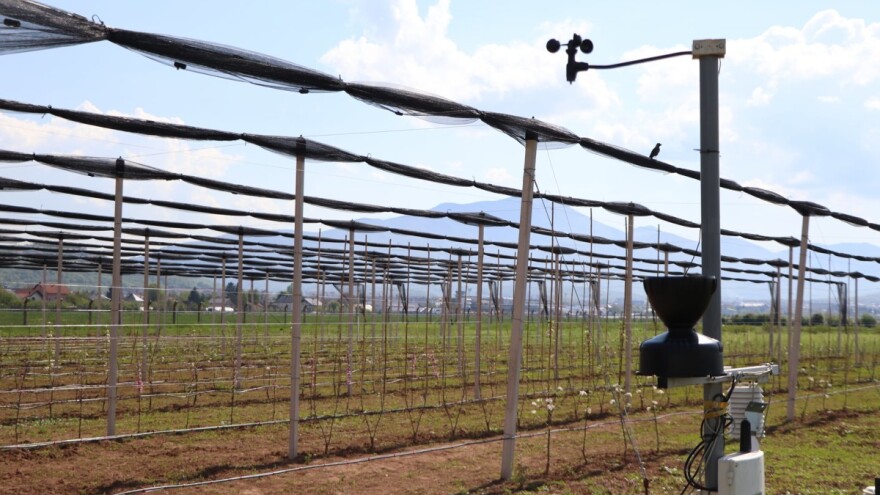 Nadomak Sarajeva niče prvi savremeni ogledno-kolekcijski voćnjak u BiH