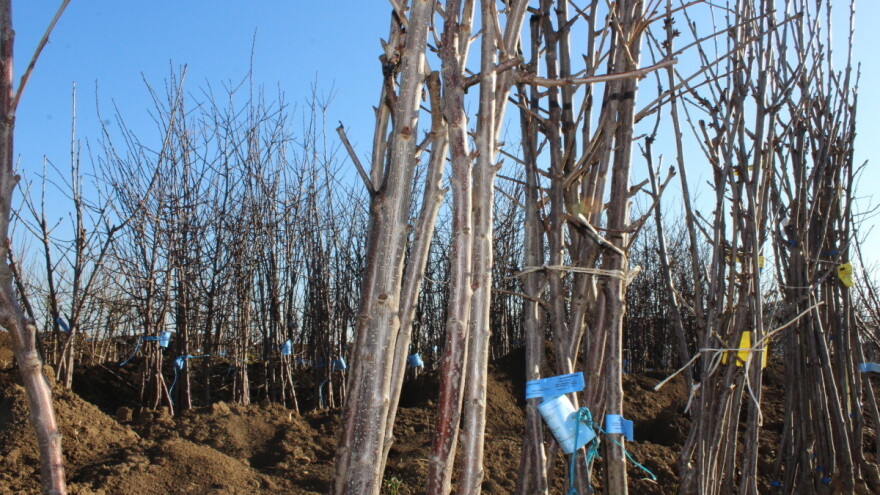 Šta su zone otpornosti biljaka?