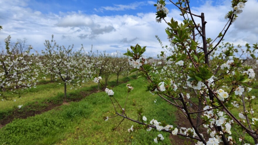 Strpite se još dva dana - sunčano će biti do kraja mjeseca