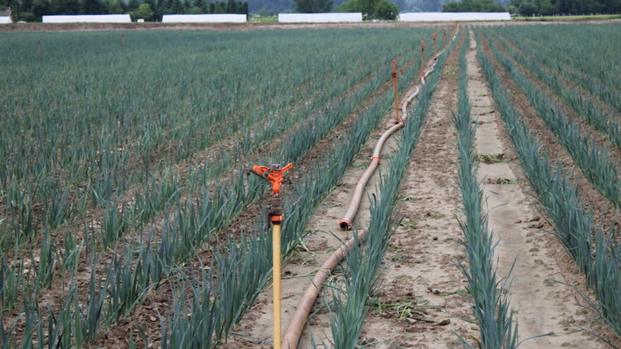 Objavljen drugi natječaj za provedbu intervencije 74.01. težak 9,5 milijuna eura