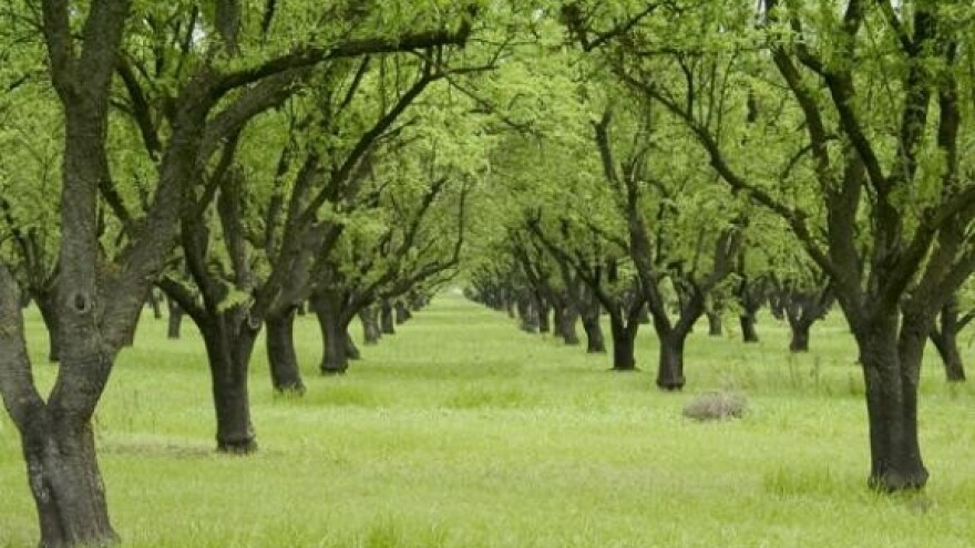 Poljoprivredni institut nositelj razvoja voćarstva
