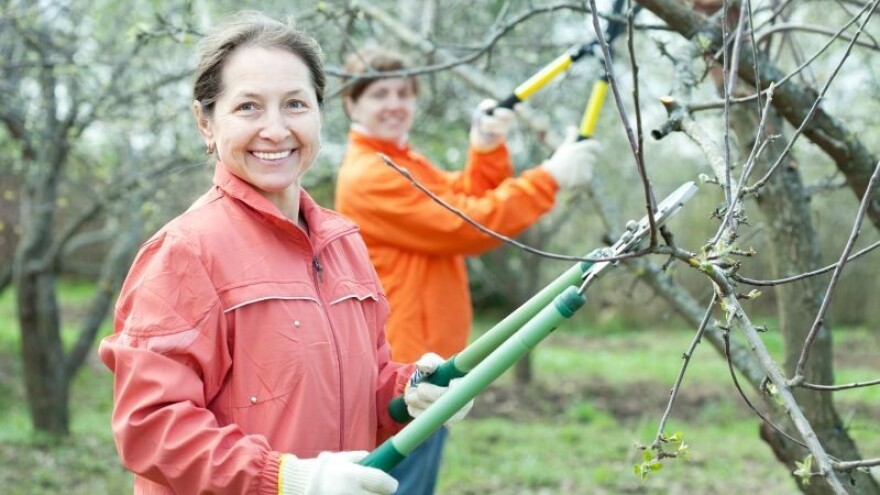 Utjecaj globalnih klimatskih promjena na uzgoj voća