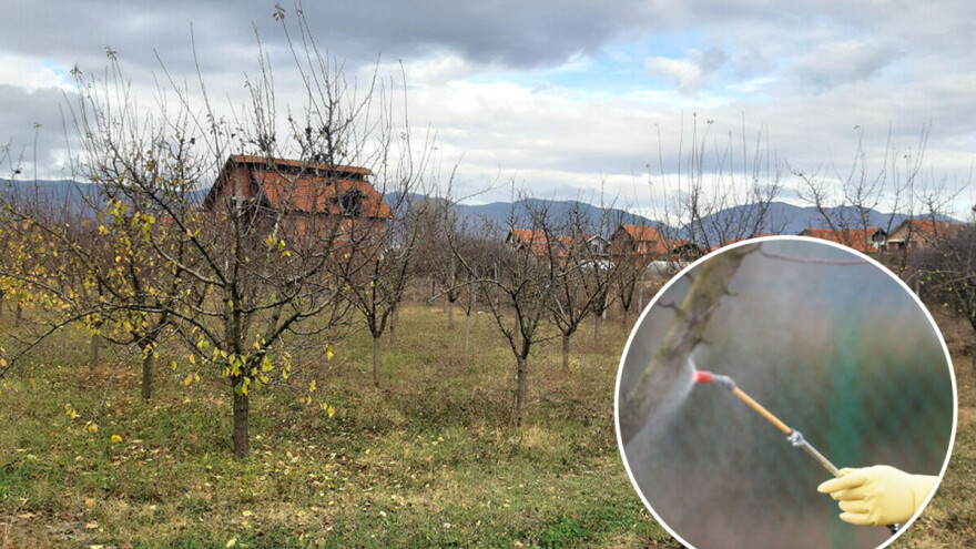 Priprema za zimu: Tretmani voćaka u fazi mirovanja