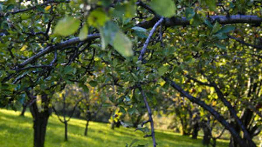 I poljoprivrednici nezadovoljni bankama
