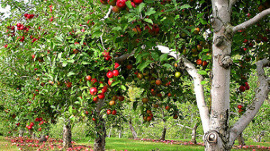 Jesenska gnojidba u ekološkoj proizvodnji