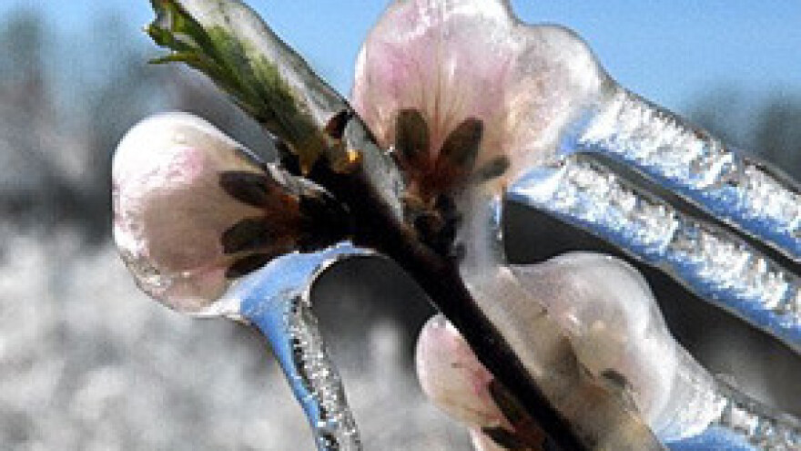 U Požeškoj županiji proglašena elementarna nepogoda