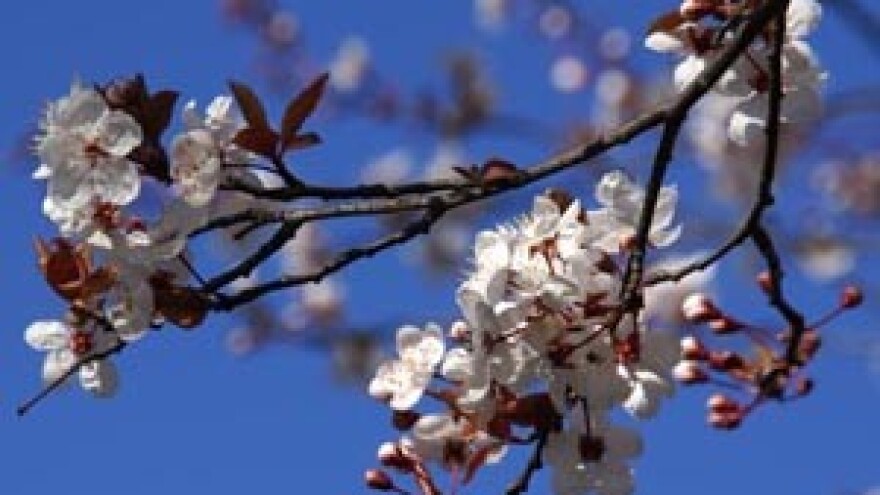 Proglašena elemenetarna nepogoda u Osječko-baranjskoj županiji