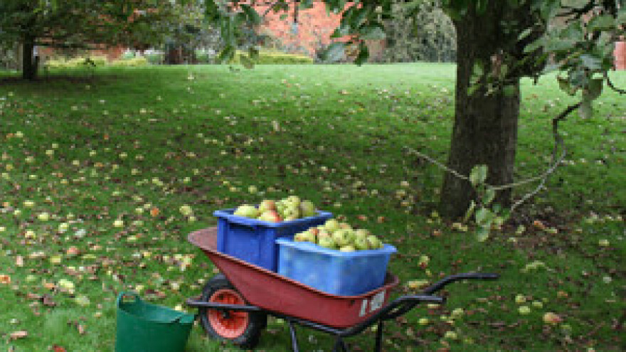 Dobili novac za nasade, a nije utrošen namjenski