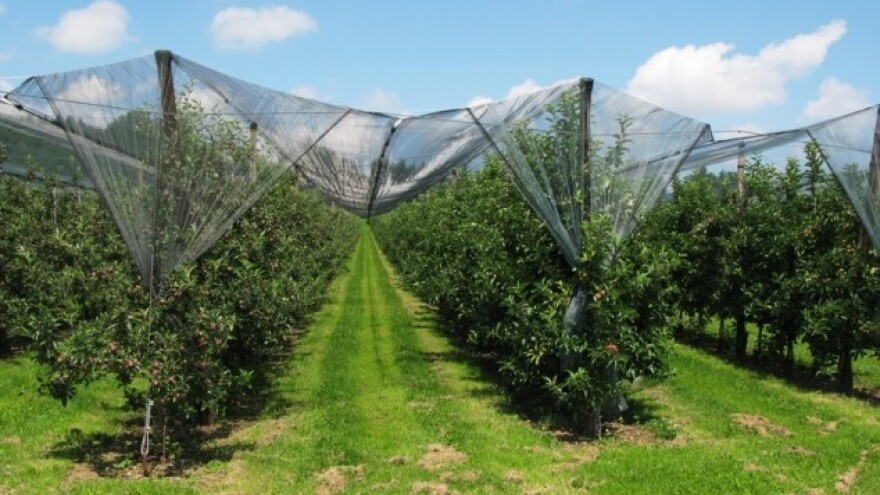 Tko će nas spasiti od neproizvodnje?