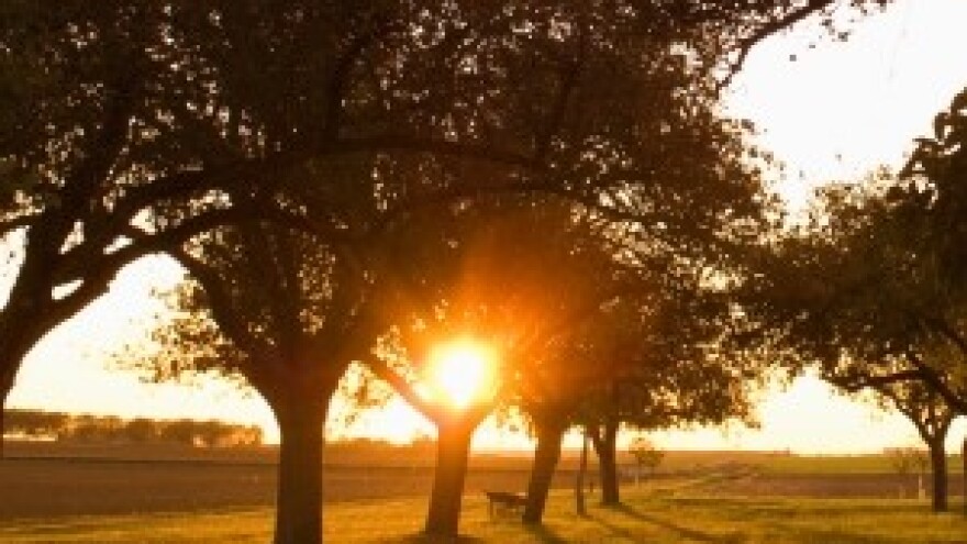 Zaštita voćaka od niskih temperatura
