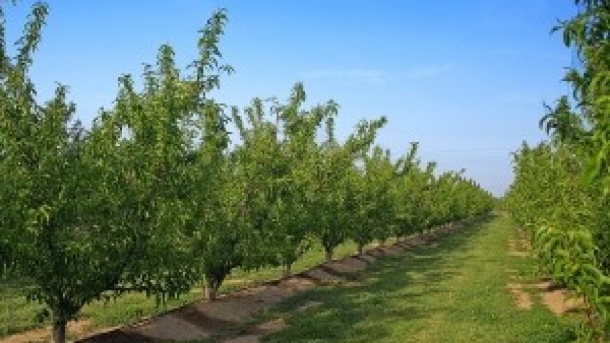 Koliko se zemljišta koristi za poljoprivredu?