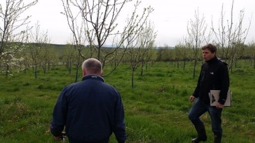 Niže cijene većine voćnih vrsta u studenom!