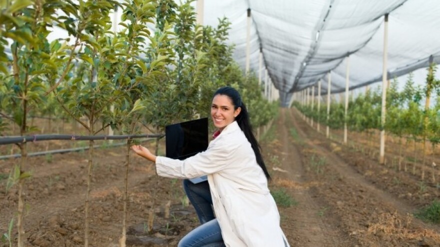 Kako spriječiti još jedan &quot;mrazni scenarij&quot;?