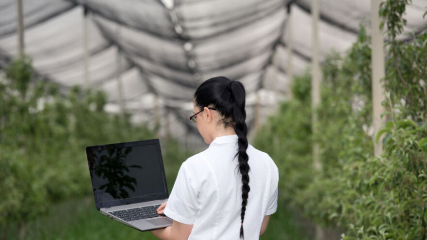 Savjetovanje o podizanju kvalitete nasada voća