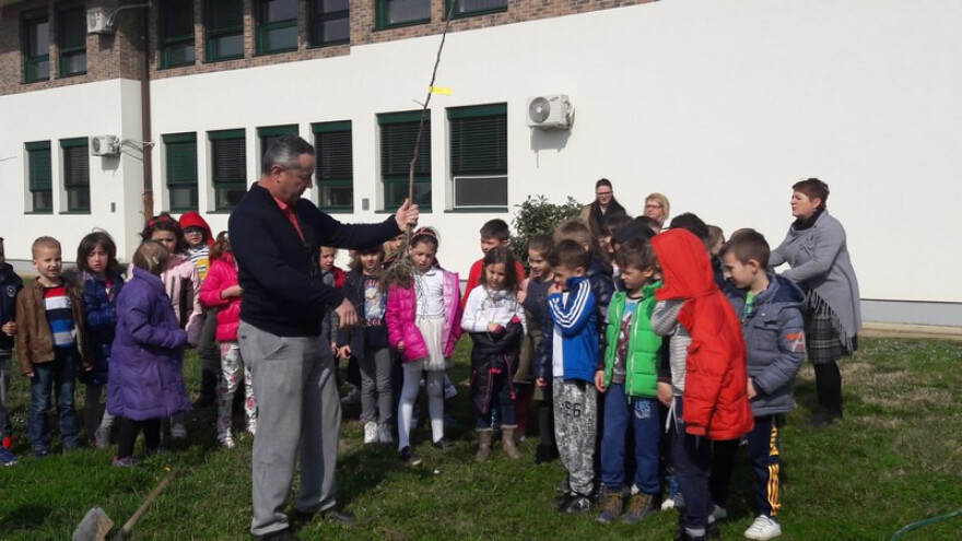 Zasađen voćnjak starih sorti na parceli pored škole
