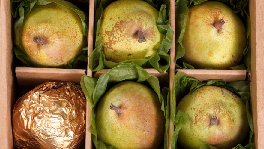 Luksuzno upakirano voće postalo svjetski hit